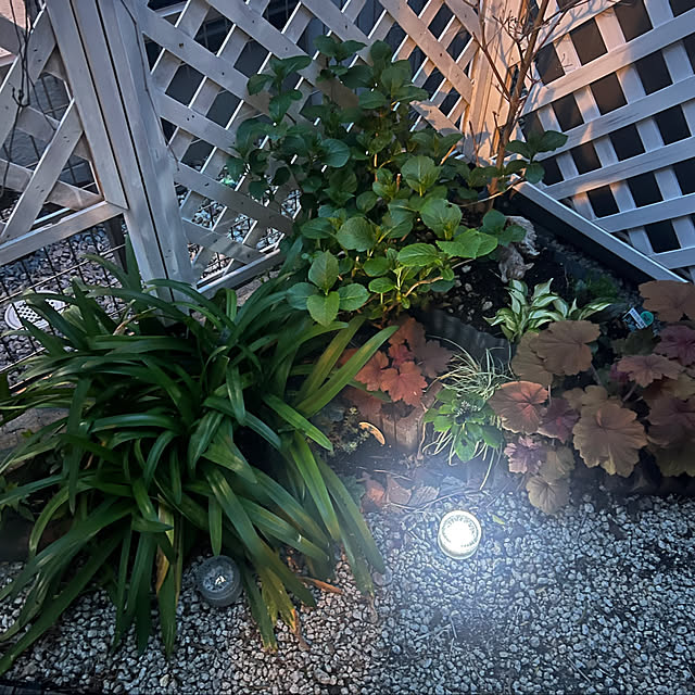 hinamamaさんの部屋