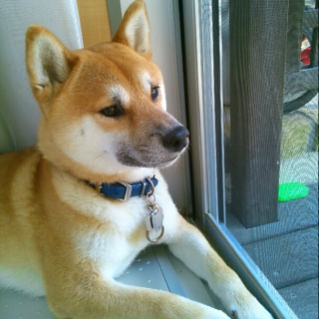 kotaさんの実例写真