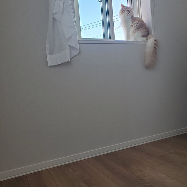 annyaさんの実例写真