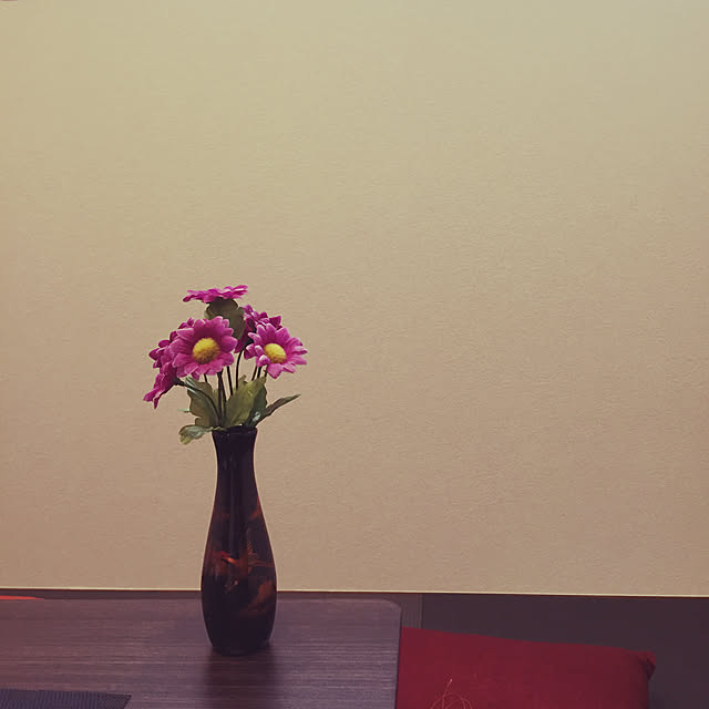 maiさんの実例写真