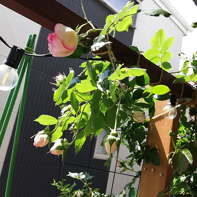 kazuさんの部屋