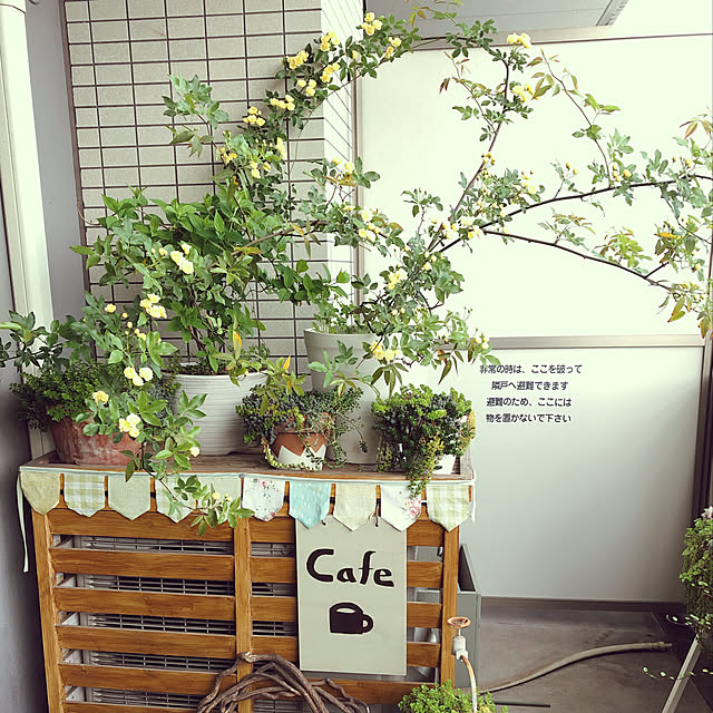 shokoさんの実例写真