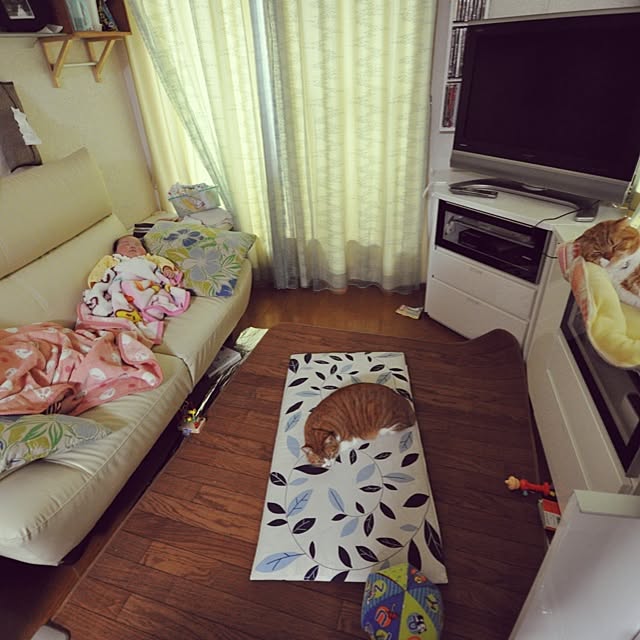 pikkariさんの実例写真