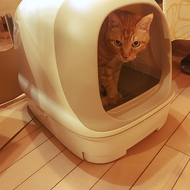 kou-kitiさんの部屋