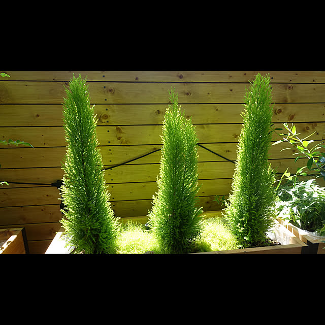NKGardenさんの実例写真