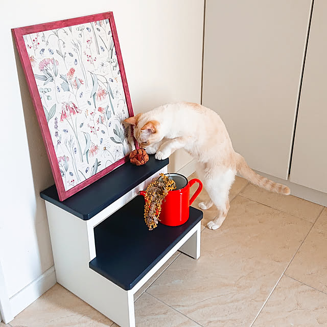 Gomaさんの実例写真