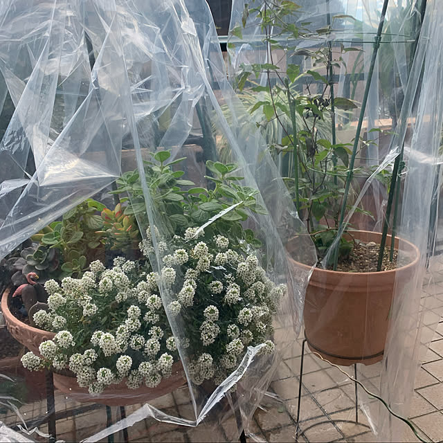 Aqettyさんの実例写真