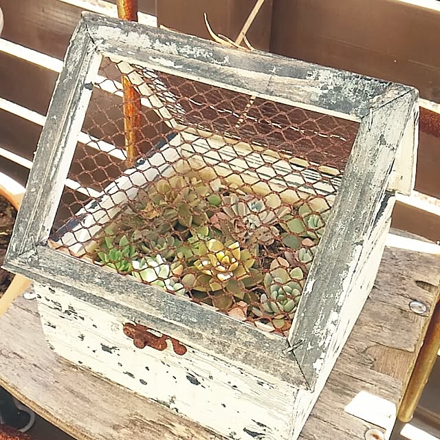 satomiさんの実例写真
