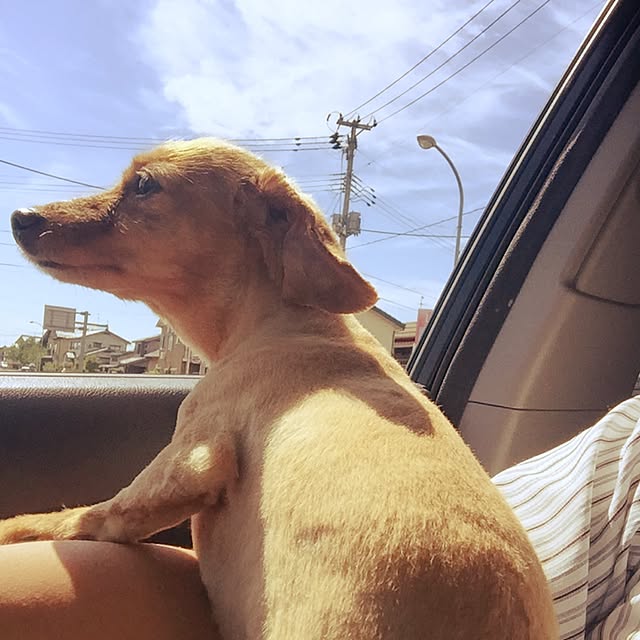 sakuさんの実例写真