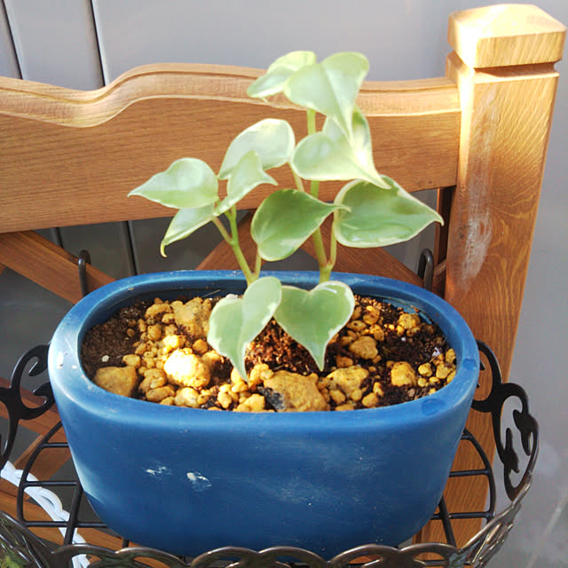 kiraさんの実例写真