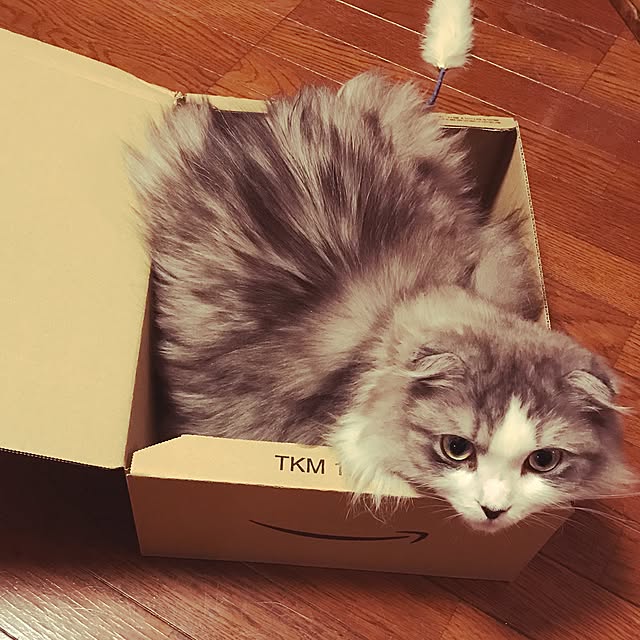 amo69xxさんの実例写真