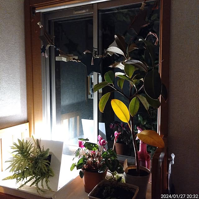 jun.canbusさんの部屋