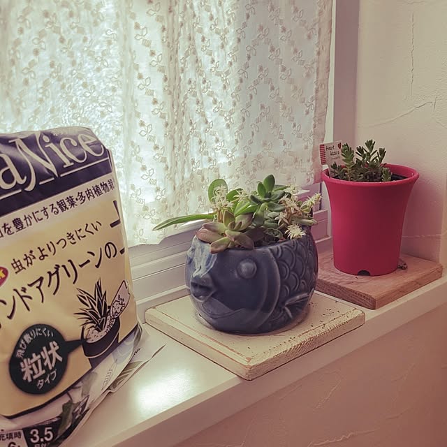 tulipさんの実例写真