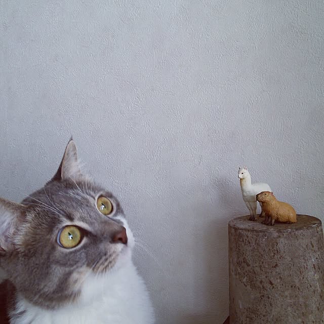 lovepandaさんの実例写真