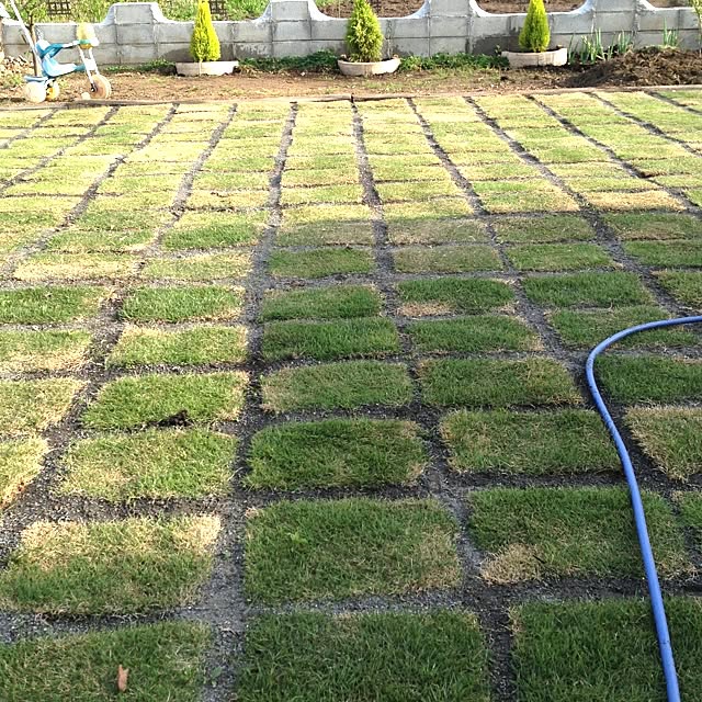 w.g.yさんの実例写真