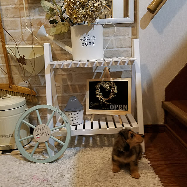 Chiさんの実例写真