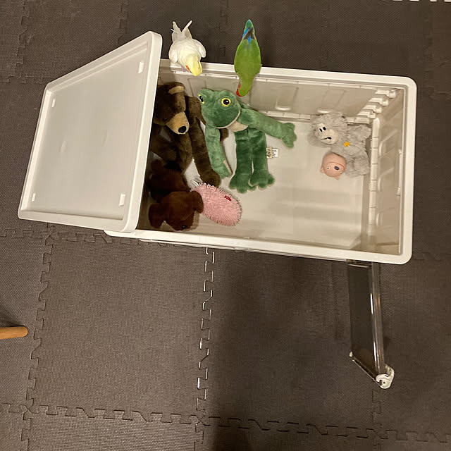 toratanさんの部屋