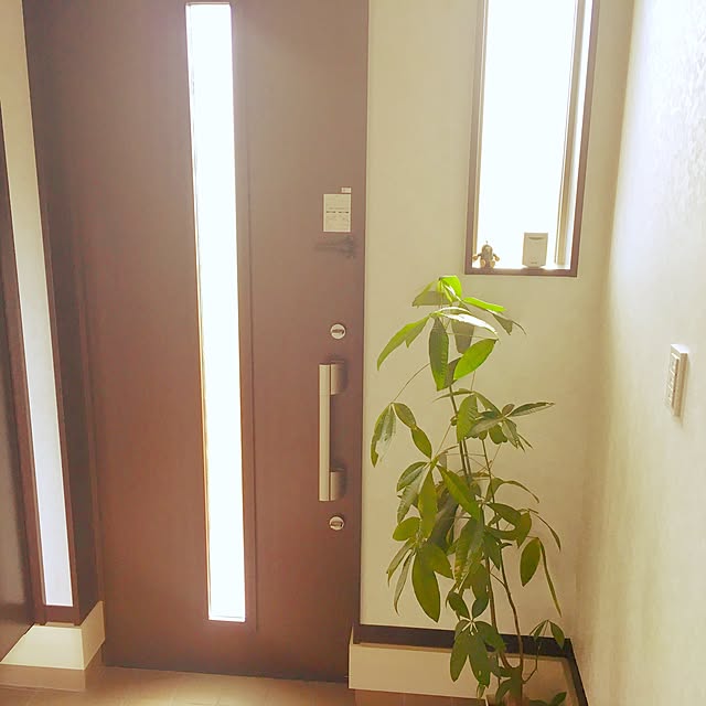 Takさんの実例写真