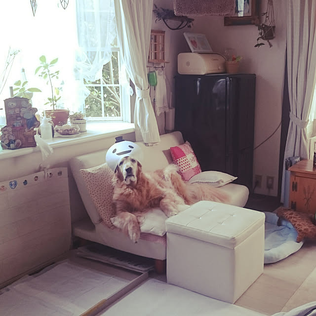 JUNMARIKAさんの実例写真