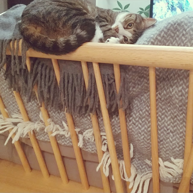 hanacocoさんの実例写真