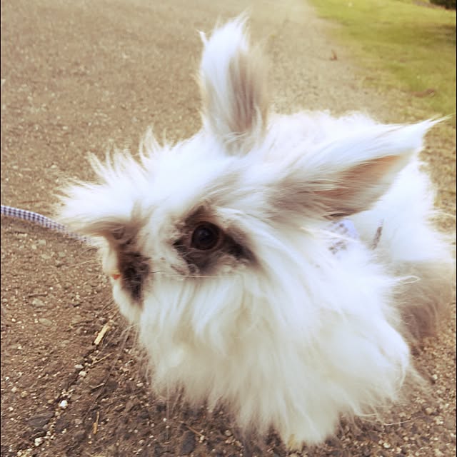 Fujicoさんの実例写真