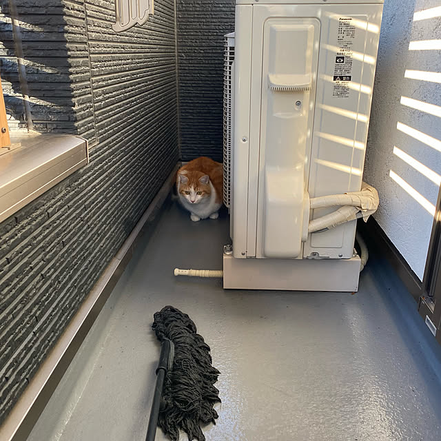 senbei.sakuramochiさんの実例写真