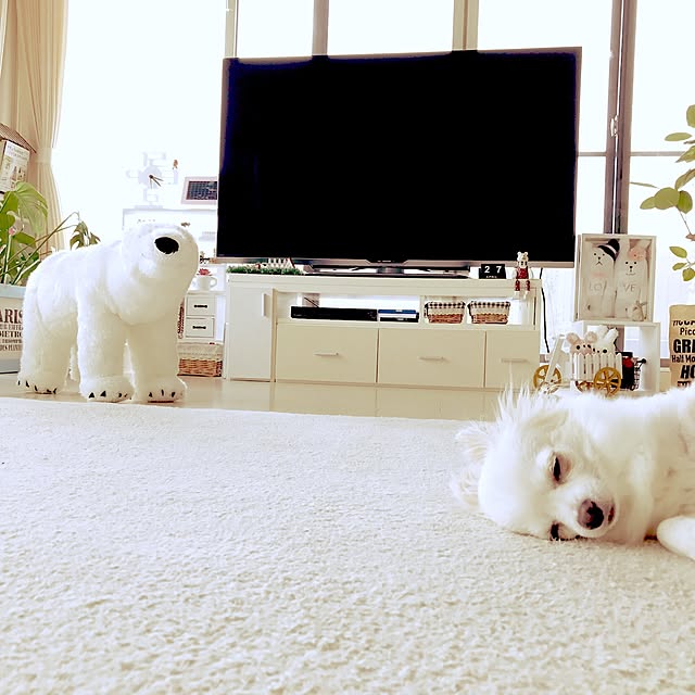 moeさんの実例写真