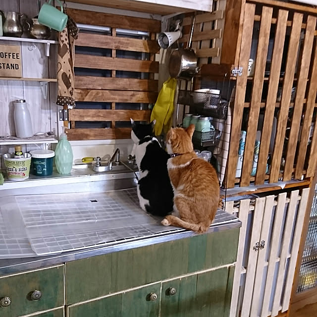 SHIHOさんの実例写真