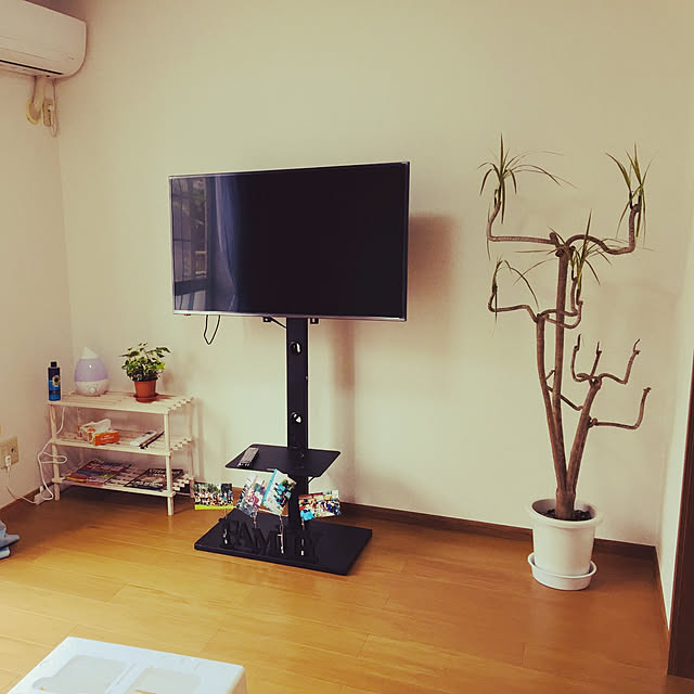 棚のインテリア実例 - 2019-02-16 19:17:58