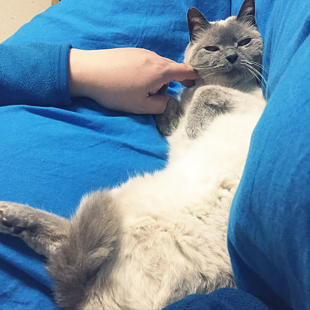 marugao1227さんの実例写真