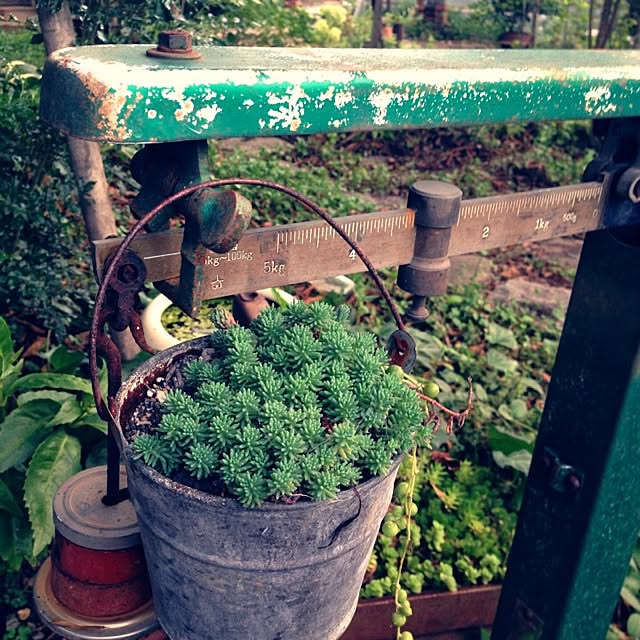 ricocotanさんの実例写真