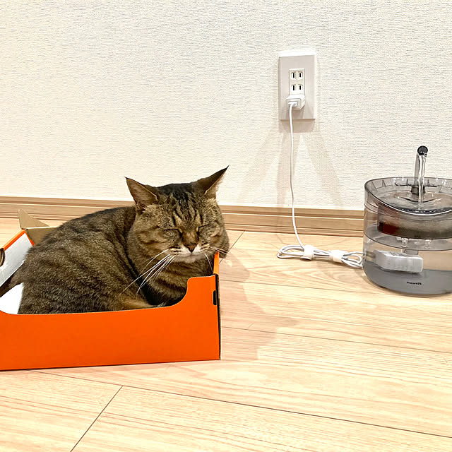 kirinsanさんの実例写真