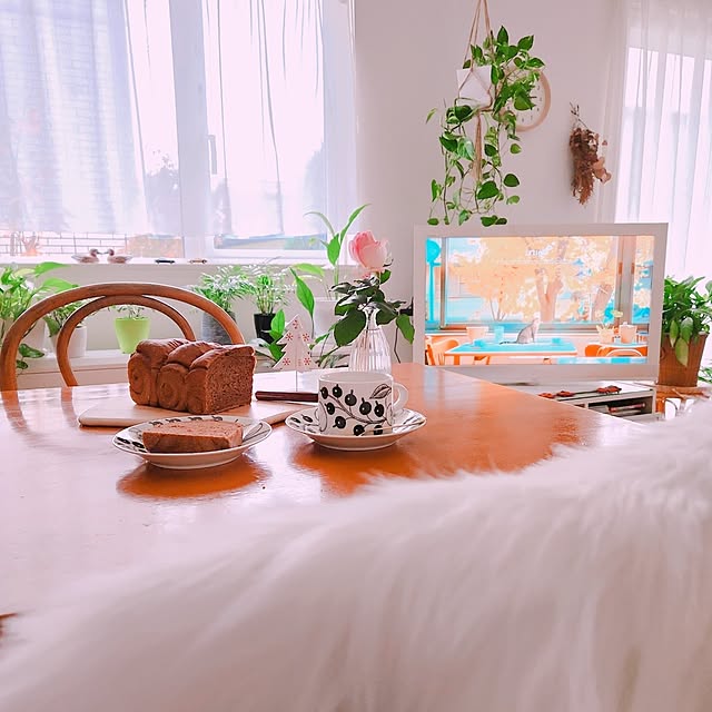 surviveさんの部屋