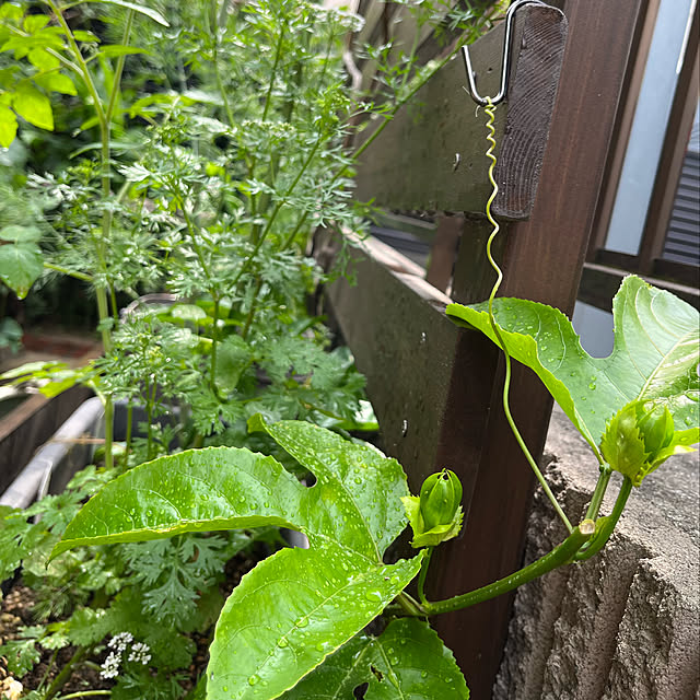 botanさんの実例写真