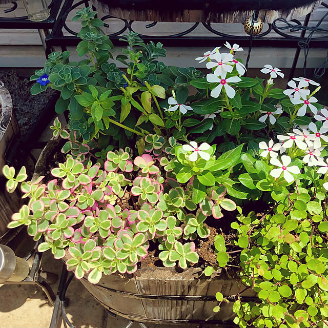 tomoさんの部屋
