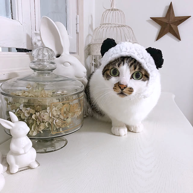 yuchiさんの実例写真