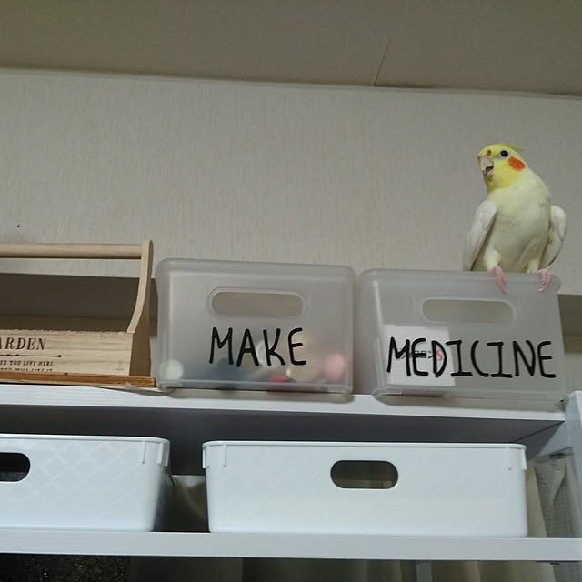 toratanさんの実例写真