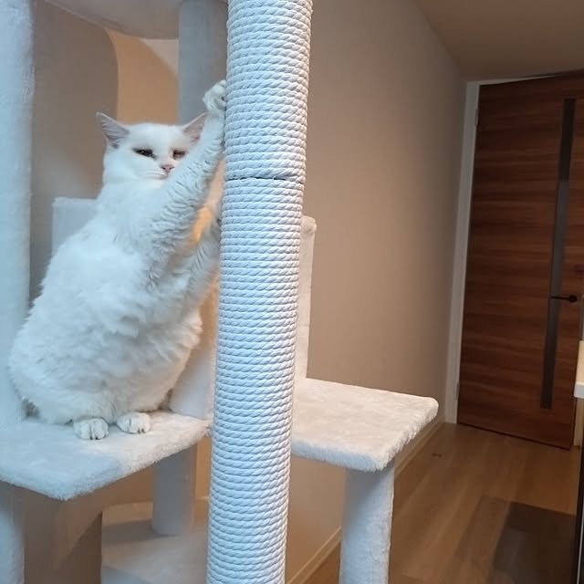 NOAHさんの部屋