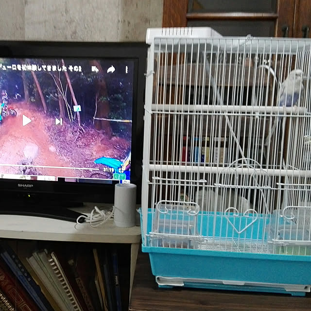 tama0330さんの実例写真