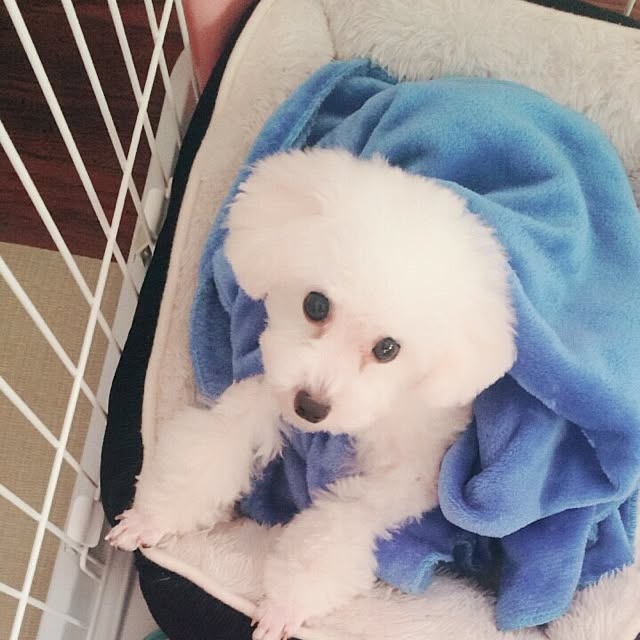 pontaさんの実例写真