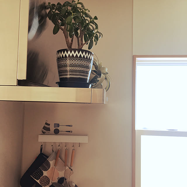 jambooonさんの実例写真