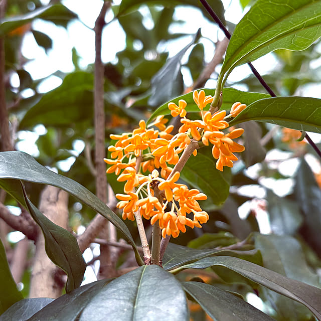 takakoさんの部屋
