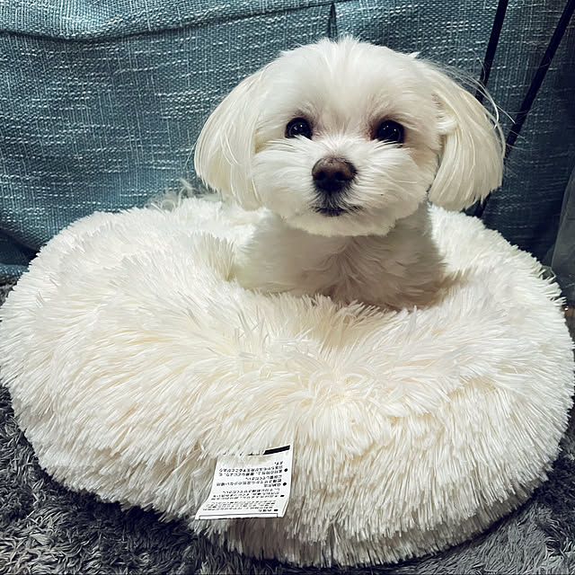 emaryさんの実例写真