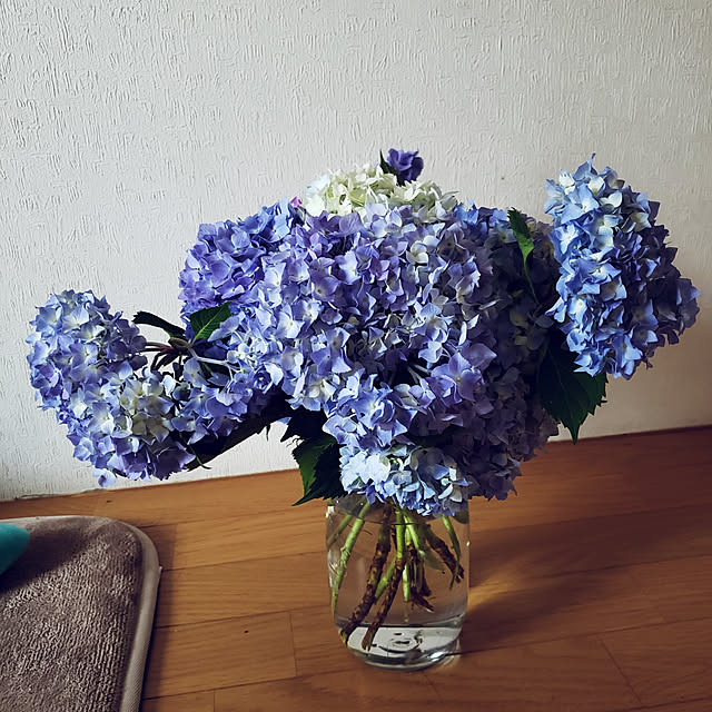 Abbyさんの実例写真