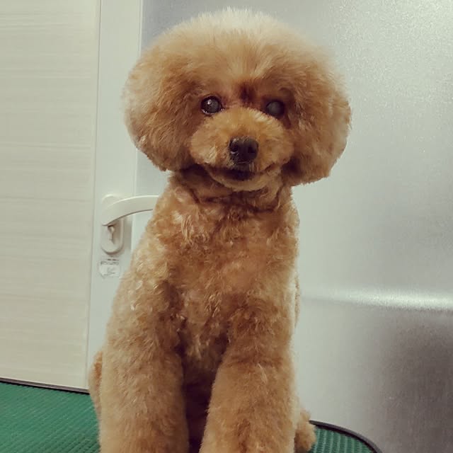 yuuさんの部屋