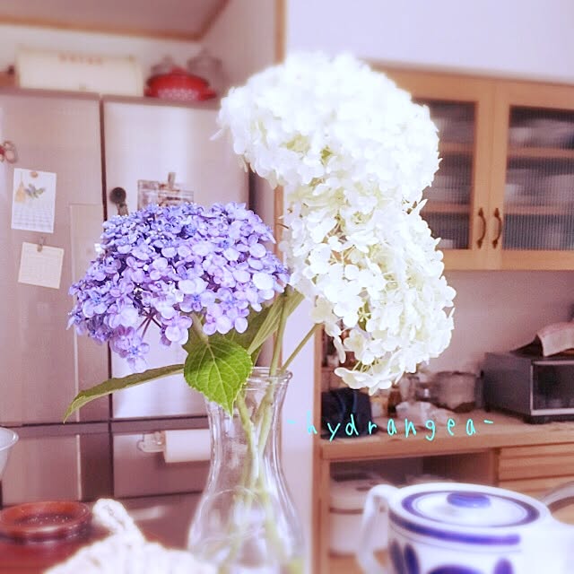 hachi-mi-.さんの実例写真