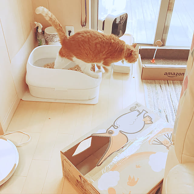 mako1210さんの実例写真