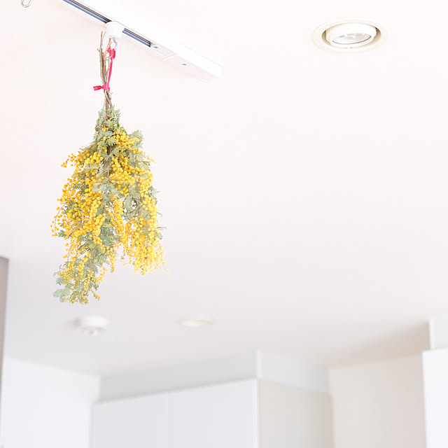 pyokopyokopさんの実例写真