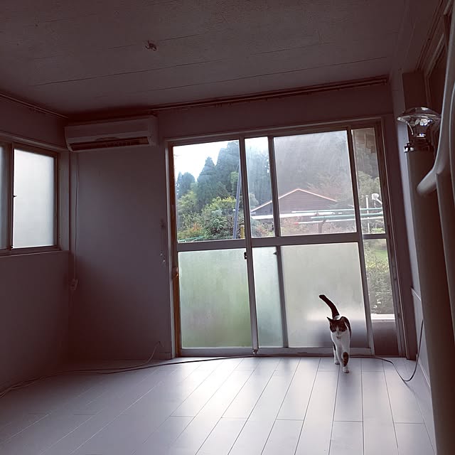 Shihoさんの実例写真