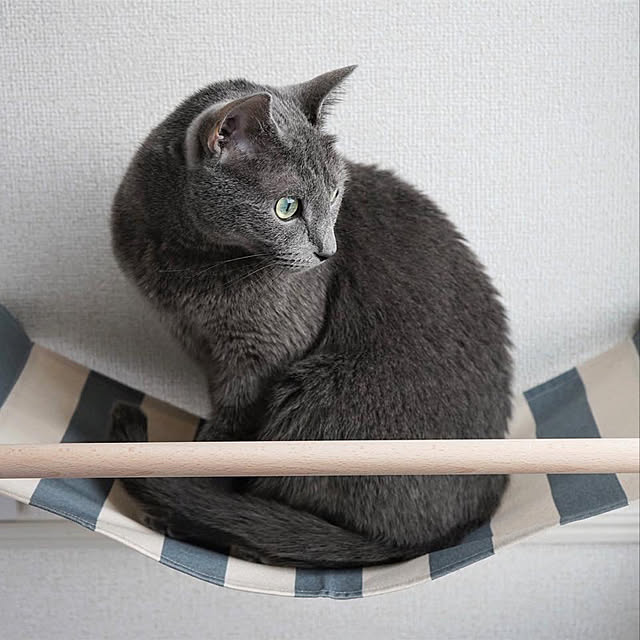Moonさんの実例写真